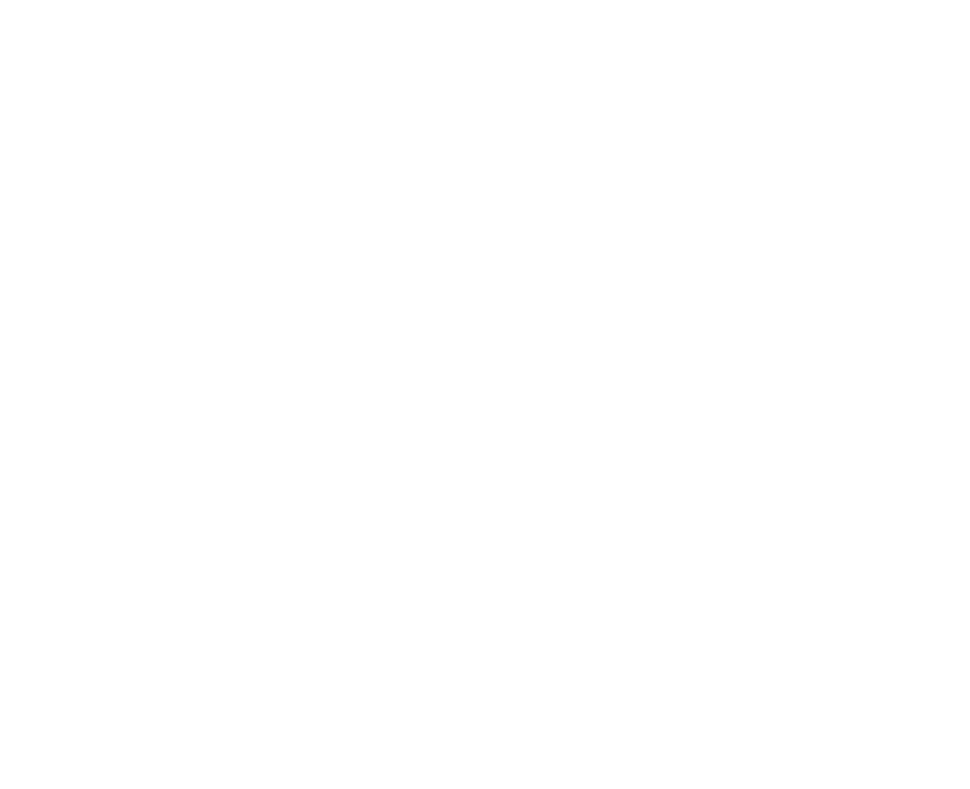 Cyber Risk International